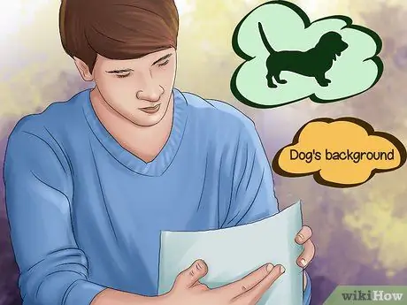 Заставьте вашу собаку ладить с другими собаками Шаг 3