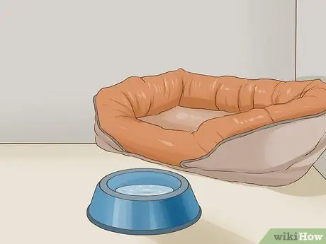 Познакомьте вашу собаку с ее новым домом Шаг 1