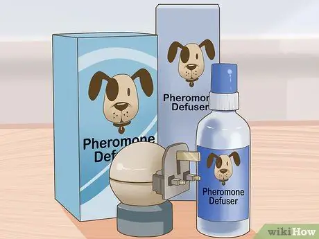 Познакомьте вашу собаку с ее новым домом Шаг 2