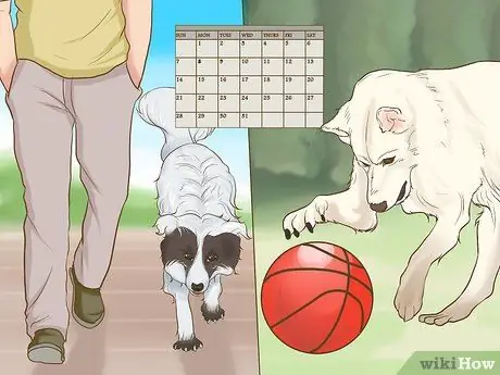 Познакомьте вашу собаку с ее новым домом Шаг 5