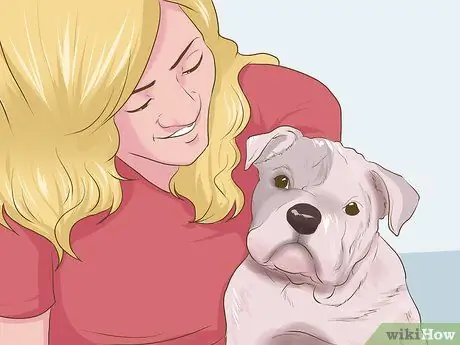 Познакомьте вашу собаку с ее новым домом Шаг 6