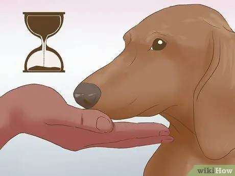 Познакомьте вашу собаку с ее новым домом Шаг 7