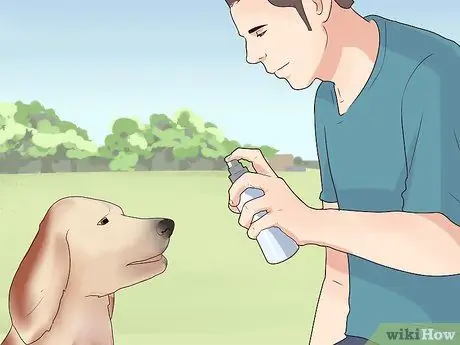 Избавьтесь от беспокойства у собак с помощью феромонной терапии, шаг 1