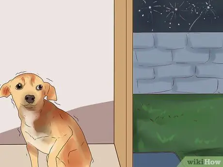 Избавьтесь от беспокойства у собак с помощью феромоновой терапии Шаг 5