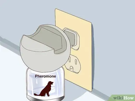 Избавьтесь от беспокойства у собак с помощью феромоновой терапии Шаг 6