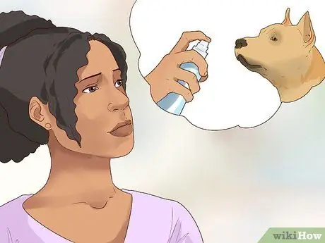 Избавьтесь от беспокойства у собак с помощью феромонной терапии, шаг 7