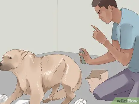 Избавьтесь от беспокойства у собак с помощью феромонной терапии Шаг 8