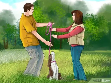 Понять динамику стаи собак, шаг 13