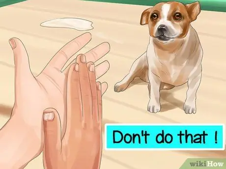 Понять динамику стаи собак, шаг 7