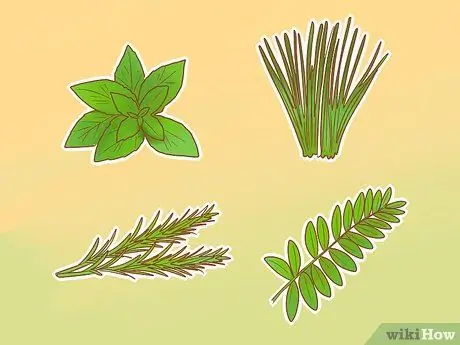 Не позволяйте собаке есть траву Шаг 3