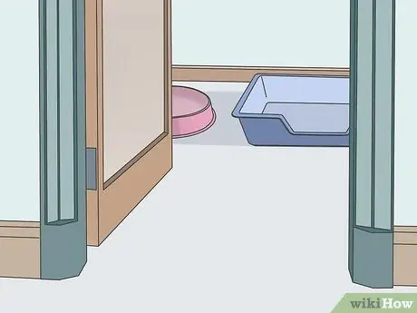 Помогите кошке избавиться от беспокойства, шаг 2