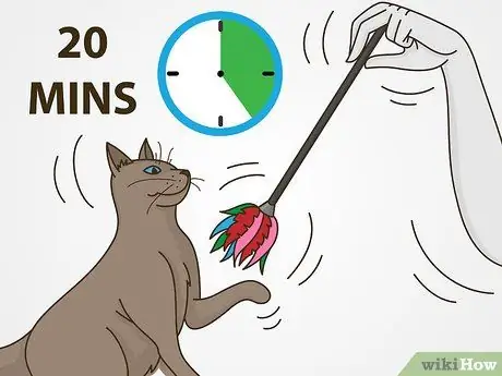 Как справиться с привередливым поведением кошек Шаг 10