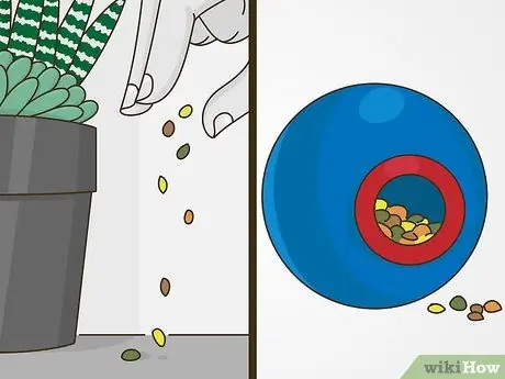 Как справиться с поведением привлечения внимания у кошек Шаг 11