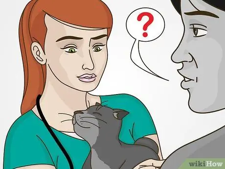 Работа с поведением привлечения внимания у кошек, шаг 2