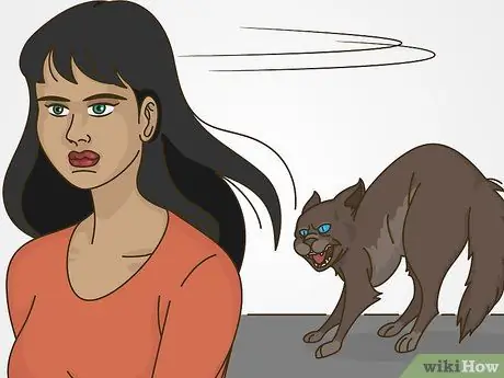 Работа с поведением, привлекающим внимание, у кошек Шаг 5