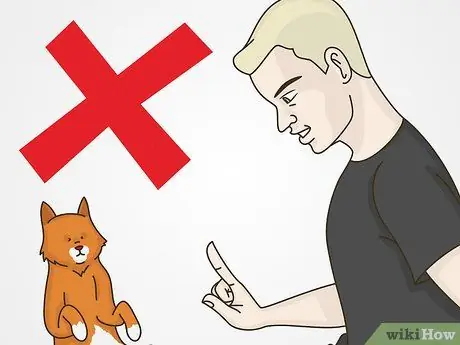 Работа с поведением, привлекающим внимание, у кошек Шаг 6