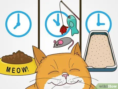 Работа с поведением, привлекающим внимание, у кошек Шаг 9