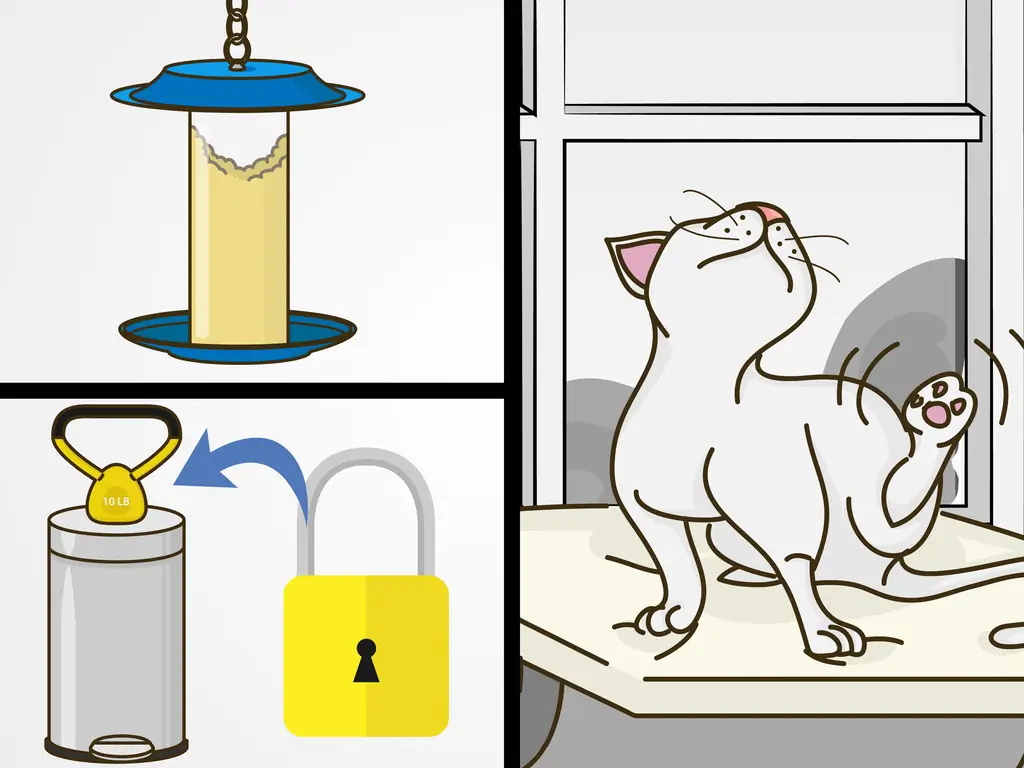 Три способа справиться с обращением внимания на поведение кошек