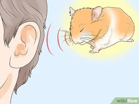 Точечная болезнь у хомяков Шаг 8