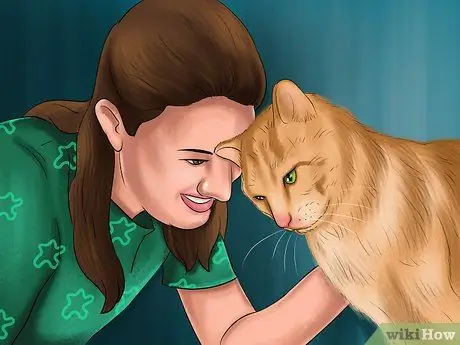 Справиться с когнитивными расстройствами у кошек Шаг 2