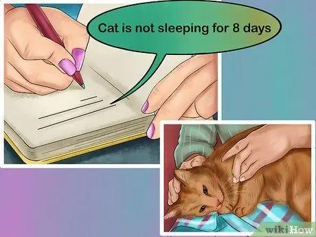 Как справиться с когнитивными расстройствами у кошек Шаг 6