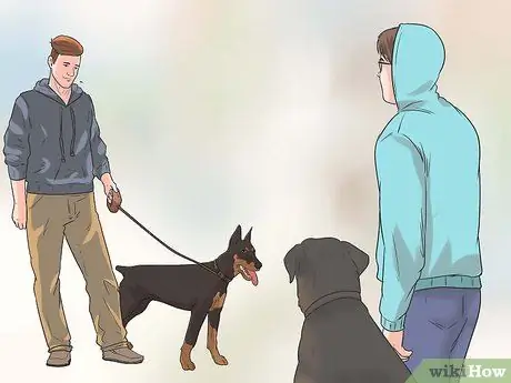 Реабилитировать слишком застенчивую собаку Шаг 11