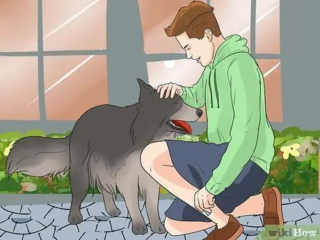 Реабилитировать слишком застенчивую собаку Шаг 14