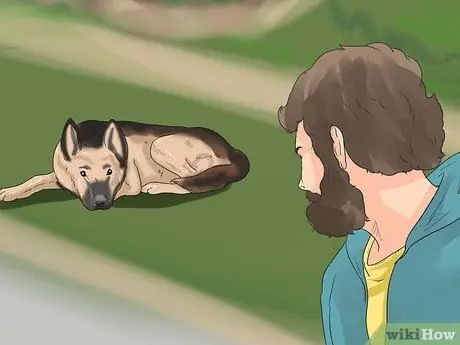 Реабилитировать слишком застенчивую собаку Шаг 15