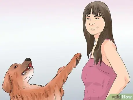 Реабилитировать слишком застенчивую собаку Шаг 13