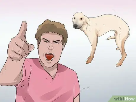 Реабилитировать слишком застенчивую собаку Шаг 4