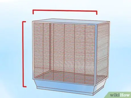 Держите свою корелу счастливой, шаг 1