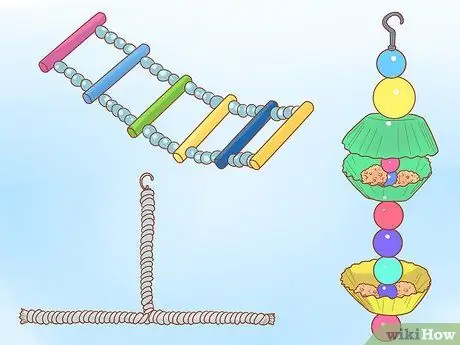 Держите свою кореллу счастливой, шаг 3