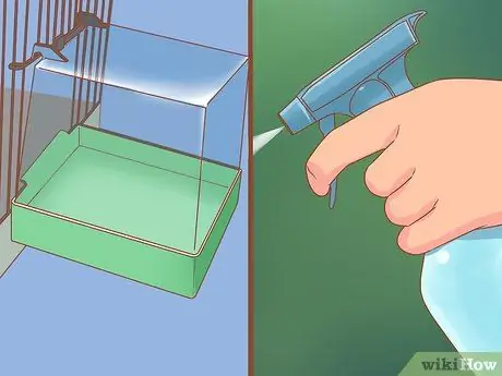 Держите свою корелу счастливой, шаг 4