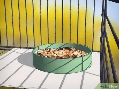 Порода Кореллы Шаг 6