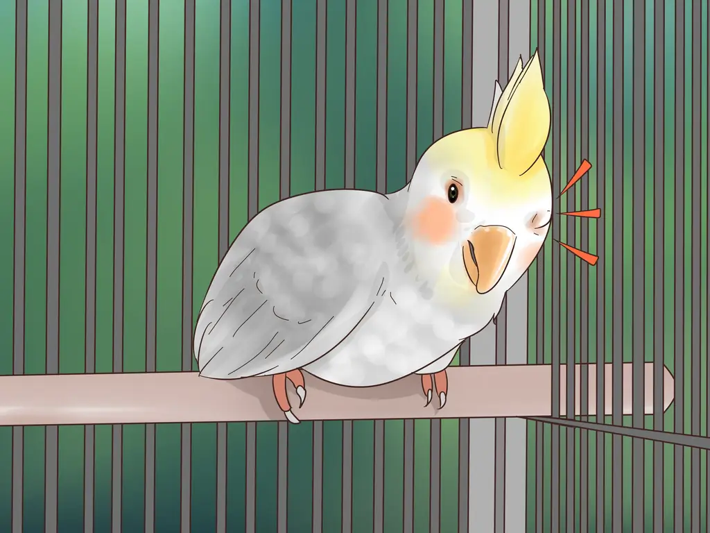 3 способа лечения конъюнктивита у корелл