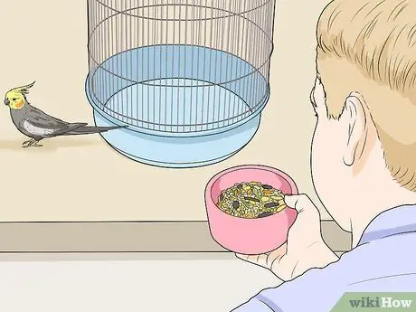 Выявление признаков болезни у кореллы Шаг 1