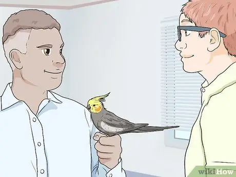 Выявление признаков болезни у кореллы Шаг 13