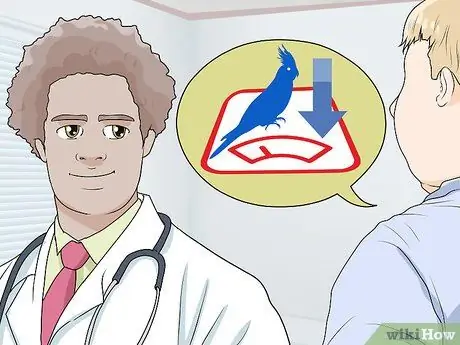 Выявление признаков болезни у кореллы Шаг 14