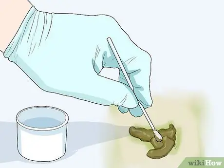 Выявление признаков болезни у кореллы Шаг 15