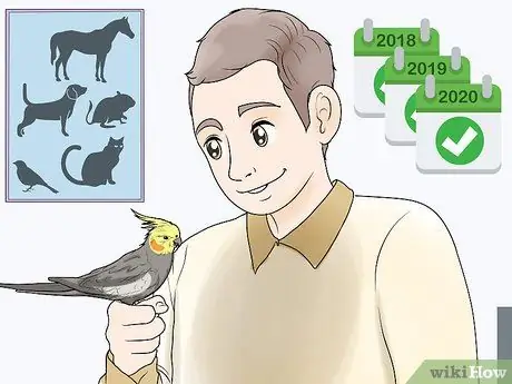 Выявление признаков болезни у кореллы Шаг 18