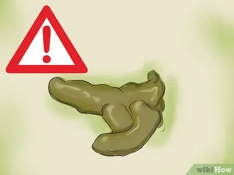 Выявление признаков болезни у кореллы Шаг 9