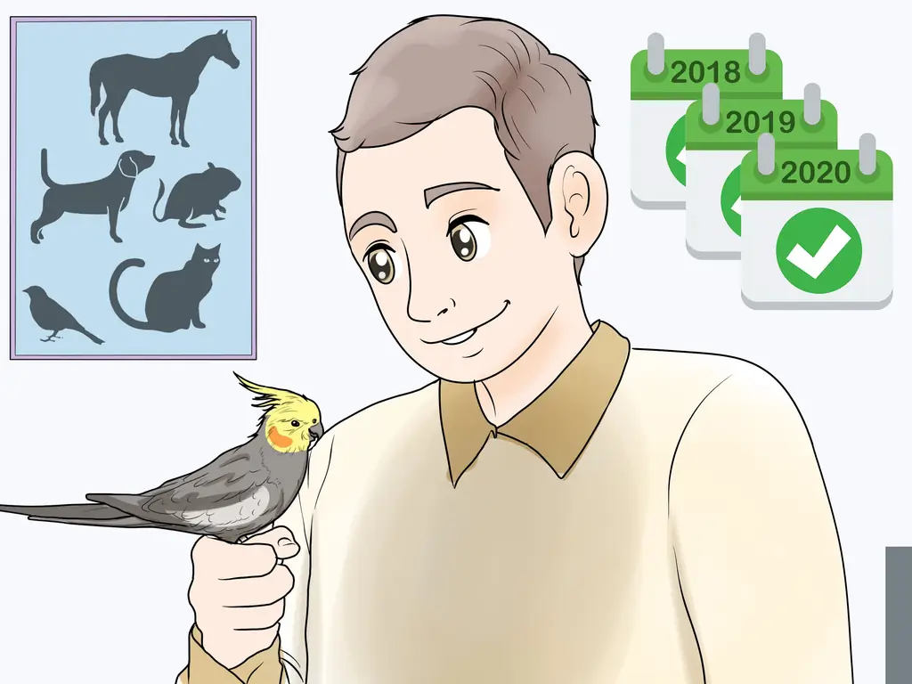 3 способа обнаружить признаки болезни у кореллы