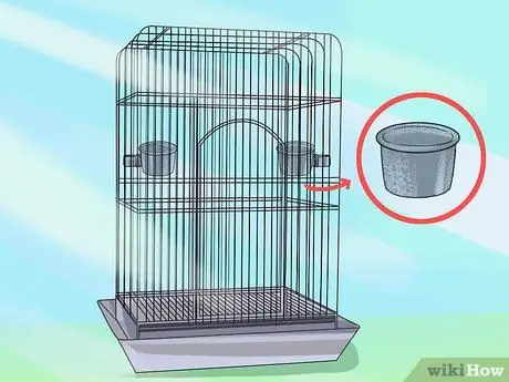 Ухаживать за кореллой, шаг 1