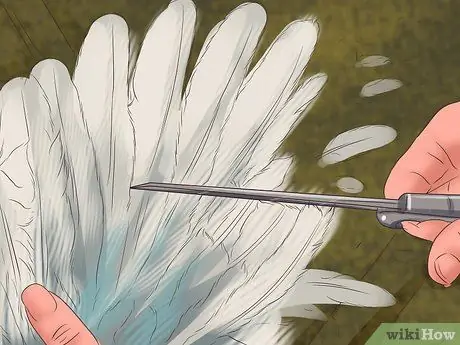 Ухаживать за кореллой Шаг 11