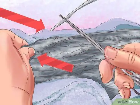 Уход за кореллой Шаг 14