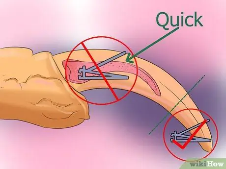 Ухаживать за кореллой Шаг 9