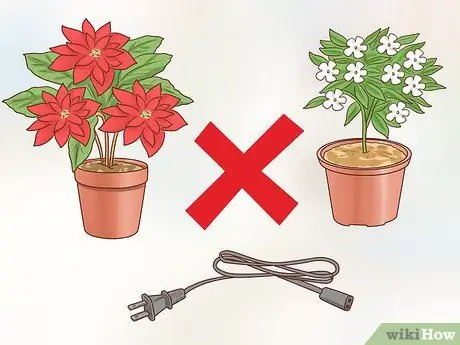 Не допускайте попадания попугая в клетку Шаг 7