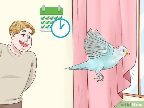 Не допускайте попадания попугая в клетку Шаг 9