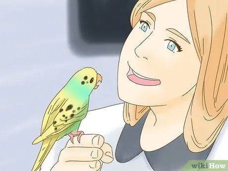 Развлекайся с маленькой птичкой, шаг 3