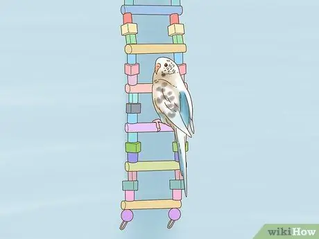 Развлекайся со своей маленькой птичкой Шаг 4